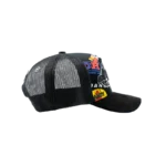 Dandy Hats “FRIENDS & FAMILY”